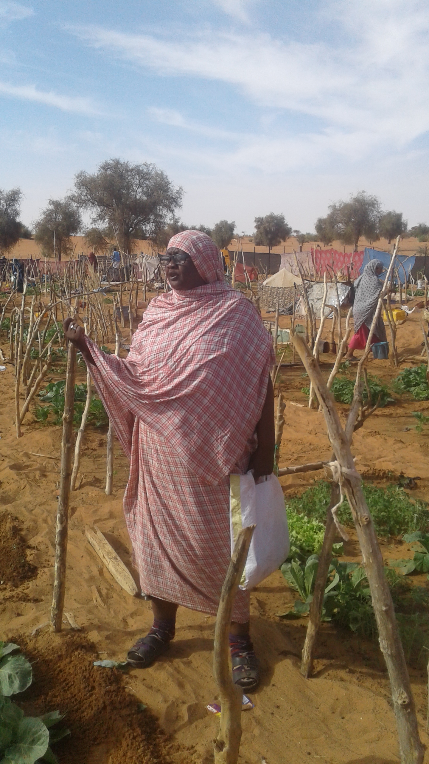 Projet de renforcement de la résilience des Agropasteurs du village de Zreg Ainou Face aux changements climatiques AMCC/SGPFEM/PNUD