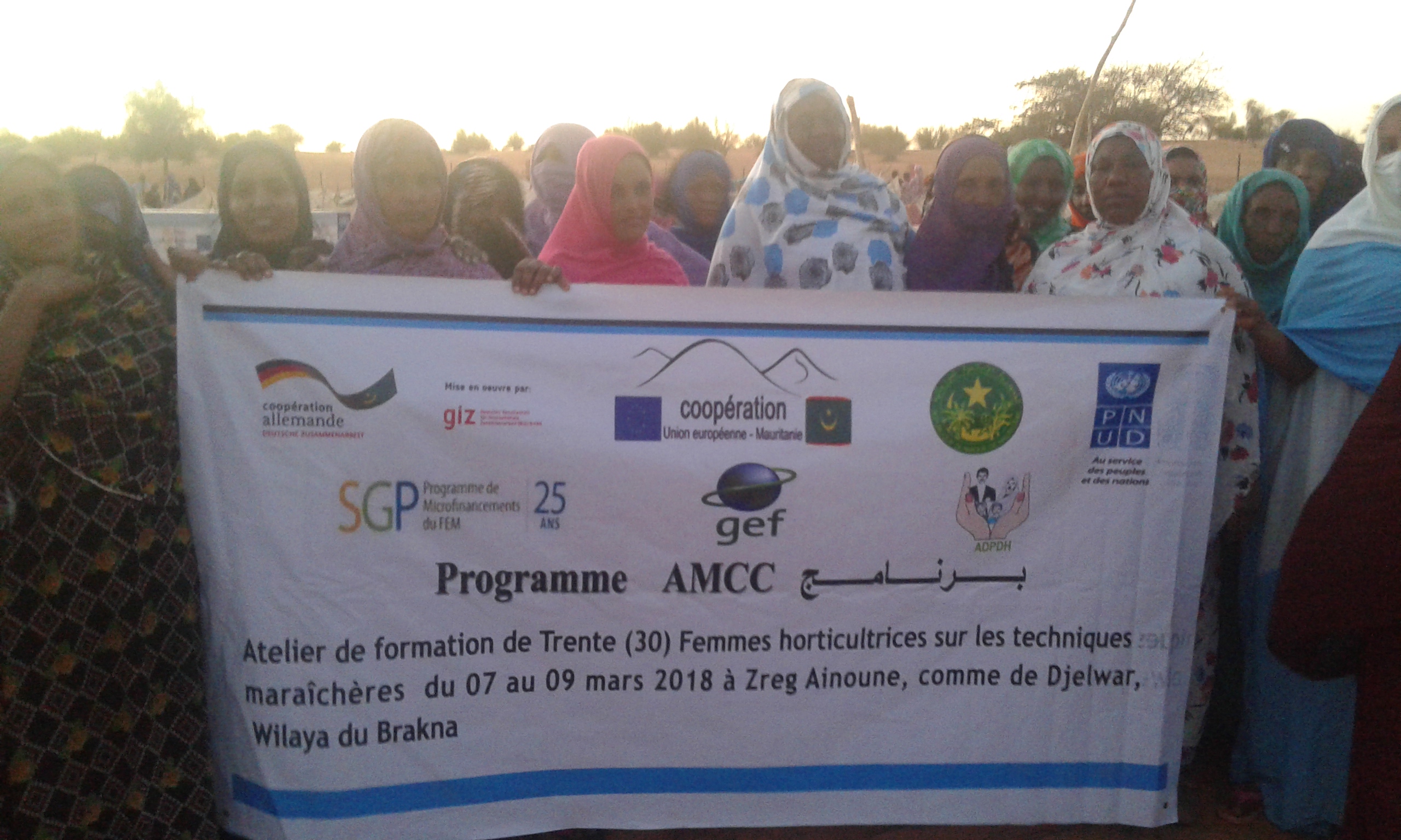 Projet de renforcement de la résilience des Agropasteurs du village de Zreg Ainou Face aux changements climatiques AMCC/SGPFEM/PNUD